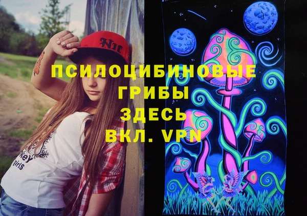 МДПВ Нижний Тагил