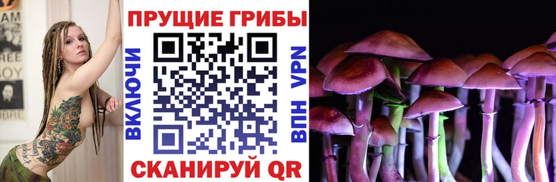 МЕГА сайт  Мирный  Галлюциногенные грибы Magic Shrooms 